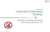overview of marketing strategy(4210)
