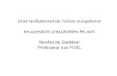 Droit institutionnel de lUnion europ©enne les questions pr©judicielles-les avis Nicolas de Sadeleer Professeur aux FUSL