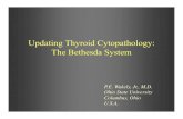 thyroid bethesda