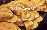 Best Damn RAT