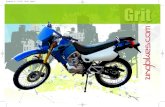 Grit 125cc (Lifan LF125GY-9A)