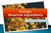 Ginkgo biloba â€“ bioactive ingredients