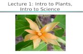 Lecture 1: Intro to Plants, Intro to Science