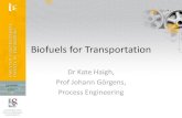 Biofuels for (2.08% of Bio-fuels Target) Economic Pre-feasibility study on ethanol diesel blending in