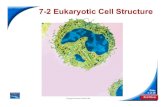 7-2 Eukaryotic Cell Structure - Springfield Public Eukaryotic Cell Structure Slide 3 of 49 Copyright Pearson Prentice Hal l Eukaryotic Cell Structures Eukaryotic Cell Structures Structures