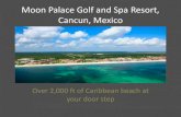Moon Palace Golf and Spa Resort, Cancun, Mexico