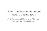 Tiger Watch: Ranthambore Tiger Conservation Anti-Poaching Efforts and Affected Community Rehabilitation