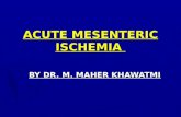 Acute mesenteric ischemia