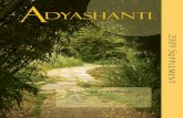 Supplement ...

Adyashanti | 2009 Supplement
