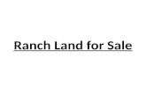 Ranch Land for Sale