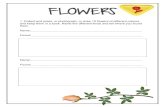 FLOWERS FLOWERS . 1. Collect and press, or photograph, or draw 10 flowers of different colours and keep