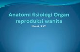 1. Anatomi fisiologi Organ reproduksi