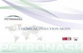 Chemical Injection Skids