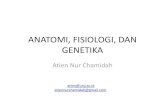 materi kuliah anatomi, fisiologi, genetika 2013.pdf