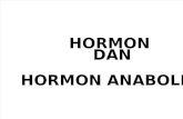 Hormon dan hormon