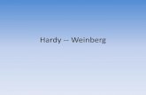 Hardy -- Weinberg ... The Hardy Weinberg principle states that the frequencies of alleles and genotypes in a population’s gene pool remain constant over the generations unless acted