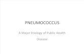 Pneumococcus FCM Final