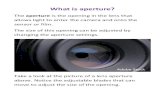 What is aperture? - Fingal · PDF file 2020. 6. 11. · Aperture affects shutter speed and a mid-range aperture gives me enough depth of field combined with a fast enough shutter speed