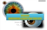 Visual System: Shedding Light on Eye-Lecture by Imran Ahmad Sajid, ISSG, UOP, March 2012