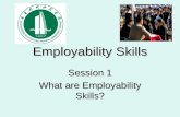 Employability Skills Session 1 What are Employability Skills?