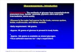 Gluconeogenesis [Compatibility Mode]