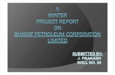 Winter Project PPT