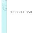 Procesul Civil