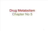 Drug Metabolism OK