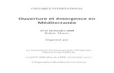 Ouverture et émergence en Méditerranée › unecaomc08 › Communications... · PDF file privés. Une étude concernant l’attractivité de la rive sud du méditerranée en investissements