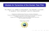 Models for Dynamics of the Human Tear Film Models for Dynamics of the Human Tear Film R.J. Braun1, K.L