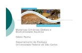 Mudanças Cimáticas Globais e Biodiversidade Aquática Odete ... · PDF file aquáticos e a manutenção de sua diversidade biológica está diretamente relacionada à integridade