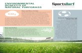 ENVIRONMENTAL BENEFITS OF NATURAL TURFGRASS Regular mowing prevents grass plants and weeds from producing