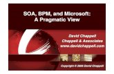 SOA, BPM, and Microsoft: A Pragmatic SOA, BPM, and Microsoft: A Pragmatic View David Chappell ... #1: