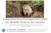 Integrated Pest Management (IPM) for Wildlife Pests in the ...mbmg.ucanr.edu/files/ آ  Integrated Pest