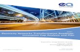 REPORT Electricity Networks Transformation Roadmap ... Electricity Networks Transformation Roadmap: