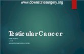 Testicular Cancer - Department of Surgery at SUNY ... Testicular cancer is an uncommon but highly treatable cancer Germ-cell tumors comprise >95% of testicular cancers Tumors with
