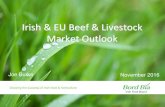Irish & EU Beef & Livestock Market Outlook ... November 2016 Irish & EU Beef & Livestock Market Outlook Joe Burke . Growing the success of Irish food & horticulture 0 5,000 10,000