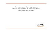 Amazon Keyspaces (for Apache Cassandra) - Developer Guide Amazon Keyspaces (for Apache Cassandra) Developer