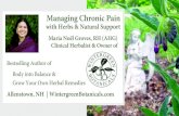 Managing Chronic Pain - Wintergreen Botanicals Turmeric (Curcuma longa) ¢â‚¬¢ Nice starter herb for most