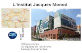 L'Institut Jacques Monod - vorgogoz/BioInfoCourses/2018-10-IJM-BioInf¢  ePole of GenoInformatics Fabien