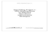 Gap Filling Project 1 CEO Briefing Book on Effective ... ... SHRP 2 Reliability Project L17 Gap Filling
