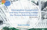 Immigration Compliance and Visa Processing ... Immigration Compliance and Visa Processing Under the