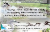 Growing trend towards rice paddy biodiversity Growing Trend Towards Rice Paddy Biodiversity Enhancement