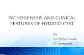 PATHOGENESIS AND CLINICAL FEATURES OF HYDATID CYST Echinococcus granulosus Echinococcus multilocularis