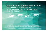 HEPATO-PANCREATO- BILIARY (HPB) & STOMACH CANCER › wp-content › uploads › 2015 › 08 › HPB-Sto · PDF file Interventional Radiology Minimally Invasive Interventional Radiology