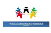 Clinton Community Assessment - CFAES ... 5 Clinton County Community Assessment Executive Summary: Clinton