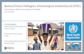 Bacterial Enteric Pathogens: Enterotoxigenic Escherichia ... ... Bacterial Enteric Pathogens: Enterotoxigenic