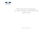 Distribution Strategy: A case study of Plantui Oy ... Distribution strategy: A case study of Plantui