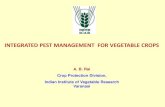INTEGRATED PEST MANAGEMENT FOR VEGETABLE INTEGRATED PEST MANAGEMENT FOR VEGETABLE CROPS A. B. Rai Crop