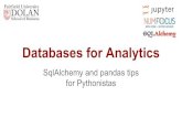 for Pythonistas SqlAlchemy and pandas tips Python 3 (includes sqlite3, Python DBI, etc.) SqlAlchemy